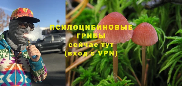 эйфоретик Аркадак