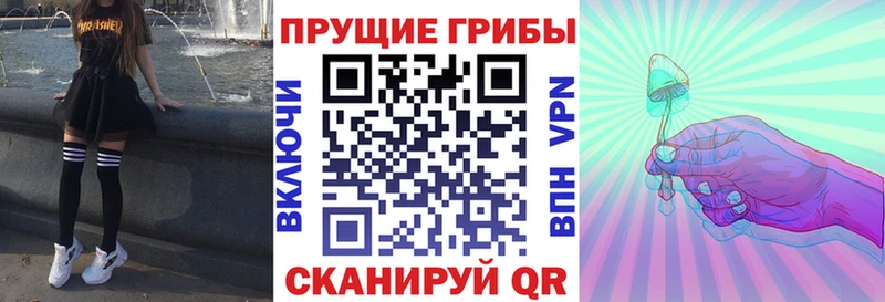 Псилоцибиновые грибы мицелий  Сочи 