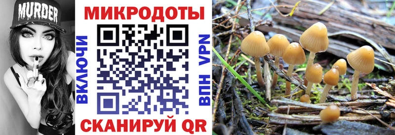 Псилоцибиновые грибы Cubensis Сочи